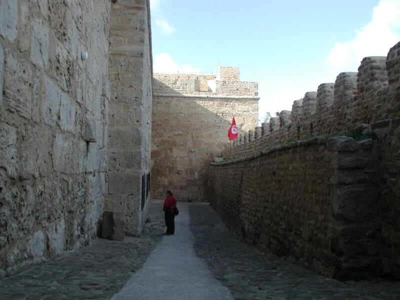 From Tunis: Full-Day Cape Bon Tour With Lunch - Discovering Kerkouanes Treasures