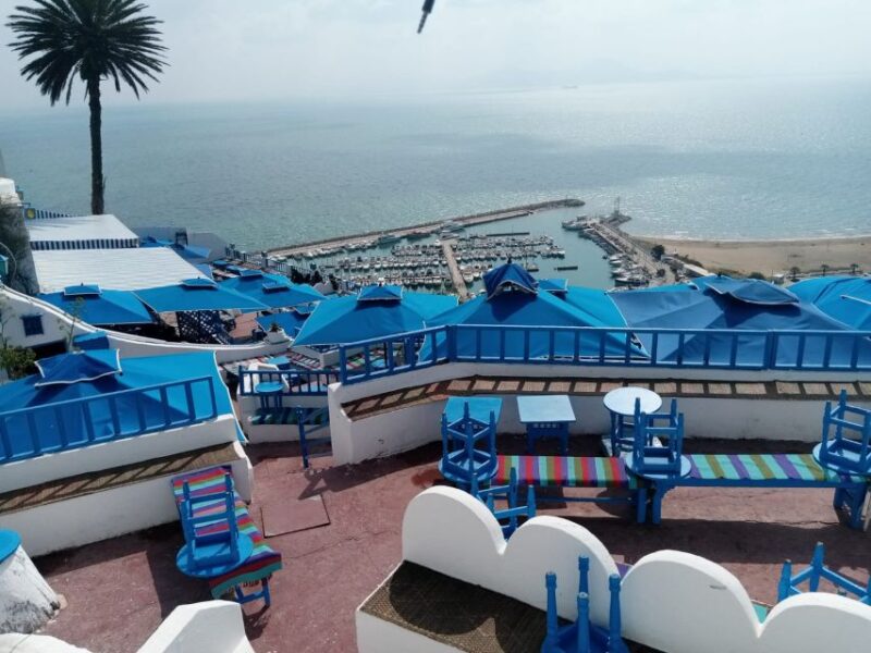 From Tunis: Half-Day Tour to Carthage and Sidi Bou Said - Discovering Sidi Bou Said