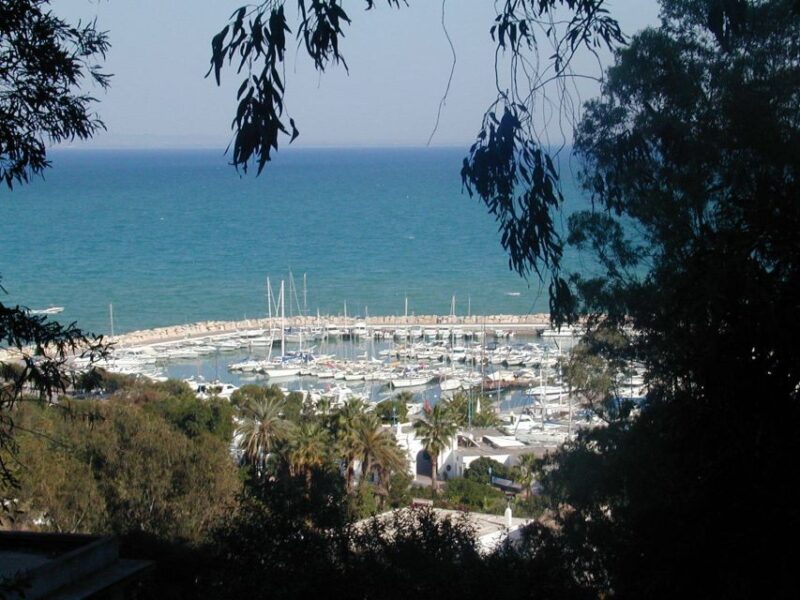 From Tunis: Half-Day Tour to Carthage and Sidi Bou Said - Scenic Views and Architecture