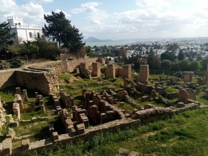 From Tunis: Half-Day Tour to Carthage and Sidi Bou Said - Booking Details and Pricing