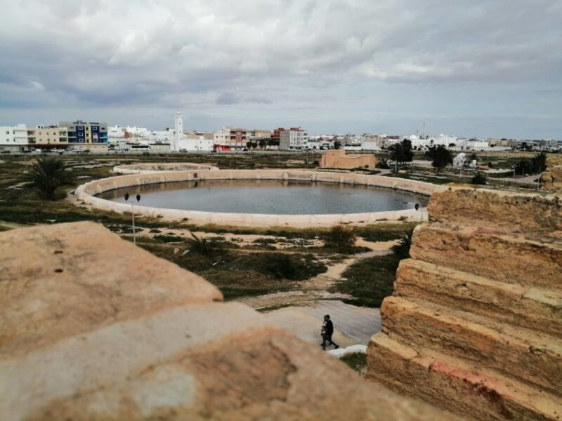 From Tunis, Hammamet, or Sousse: Private Kairouan Day Trip - Exclusions to Consider
