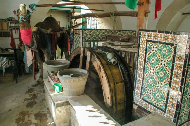 From Tunis: Kairouan, El Jem, & Sousse Day Trip With Lunch - Itinerary Breakdown