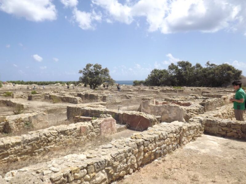 From Tunis or Hammamet: Cap Bon Peninsula Full-day Tour - Key Points