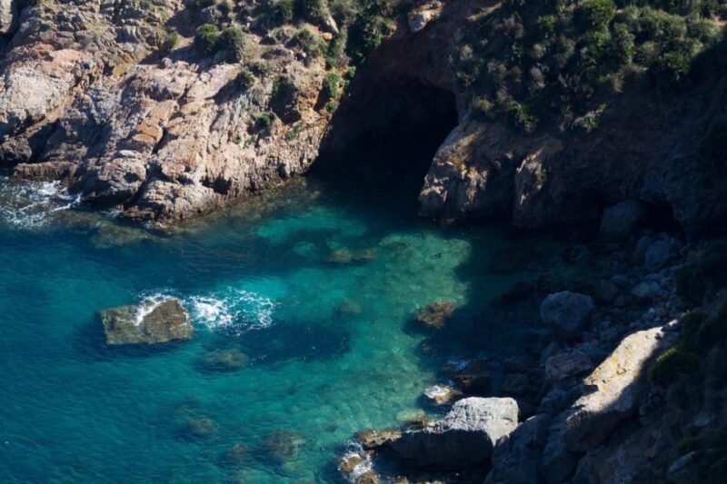 From Tunis or Hammamet: Cap Bon Peninsula Full-day Tour - Guided Tour Experience