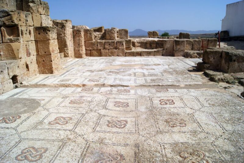 From Tunis or Hammamet: Oudhna, Testour and Dougga Day Tour - Key Points