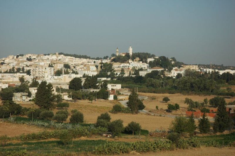 From Tunis: Oudhna & Zaghouan Day Tour With Guide & Lunch - Visiting the Zaghouan Water Temple