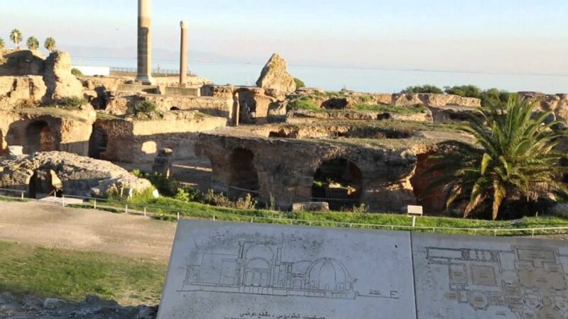 From Tunis Port: Tunis, Carthage, & Sidi Bou Said Tour - Highlights of the Tour