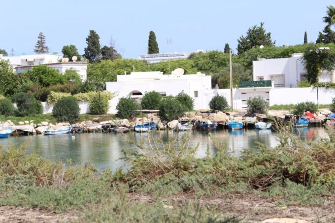 From Tunis Port: Tunis, Carthage, & Sidi Bou Said Tour - How to Book Your Tour