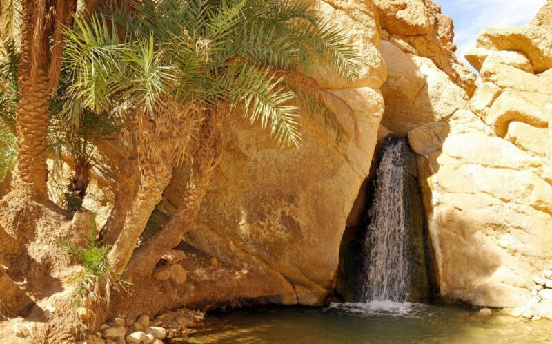 From Tunis: Private North to South 3-Day Tour of Tunisia - Inclusions and Benefits