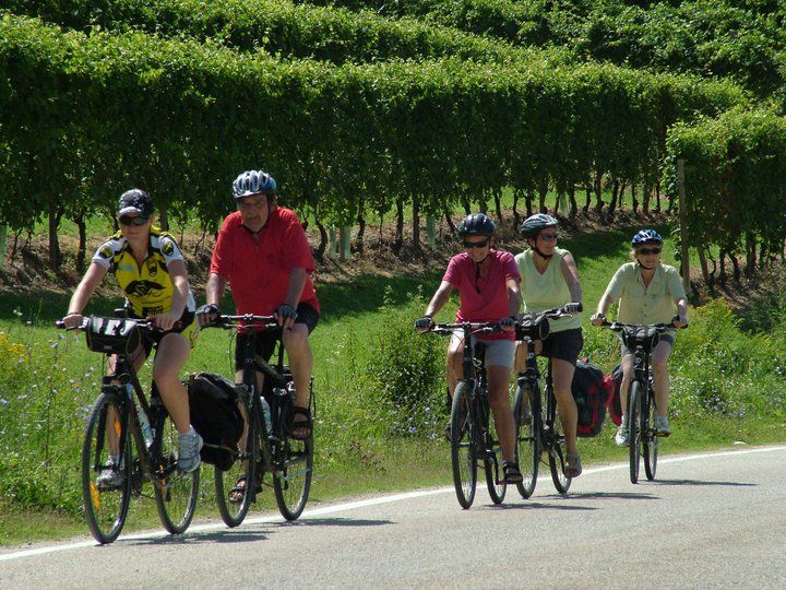From Turin: 8-Day Cycling Tour in Piedmont - Itinerary Highlights