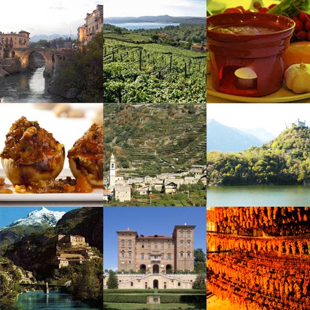 From Turin: Food and Wine Guided Tour in Canavese - Experience Highlights