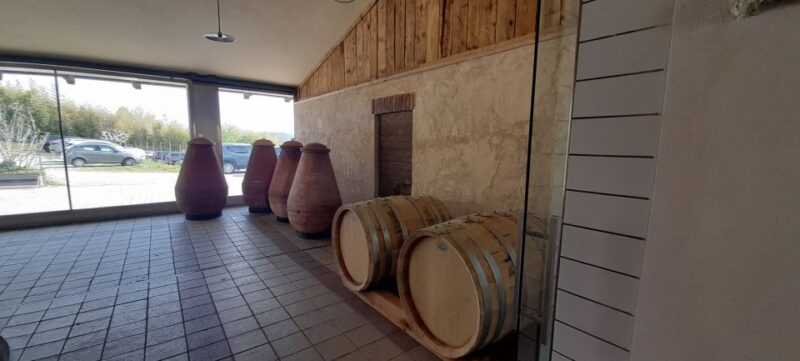 From Turin: Food and Wine Guided Tour in Canavese - Frequently Asked Questions