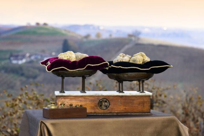 From Turin: Half-Day Truffle Hunting and Lunch in Piedmont - Frequently Asked Questions