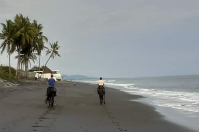 From Ubud 1 Hour Horse Riding at The Beach Experiences - What to Expect