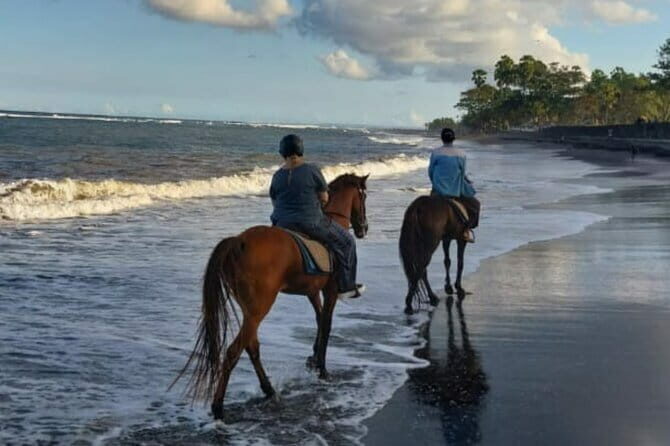 From Ubud 1 Hour Horse Riding at The Beach Experiences - Price and Value