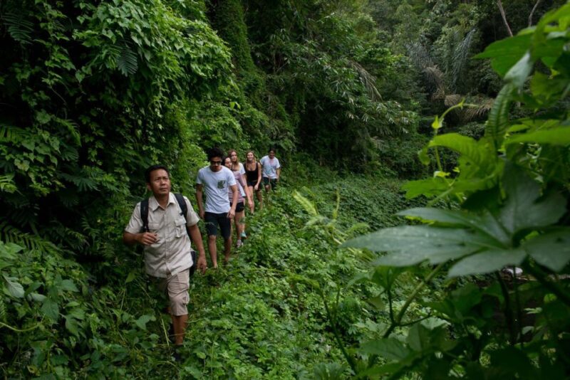 From Ubud: 3-Hour Tropical Trek and Taro Village Tour - Key Points