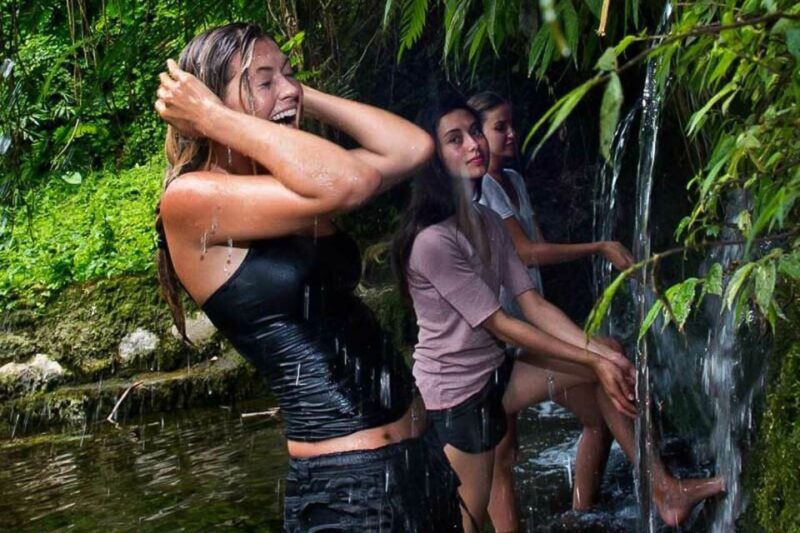 From Ubud: 3-Hour Tropical Trek and Taro Village Tour - Activity Details