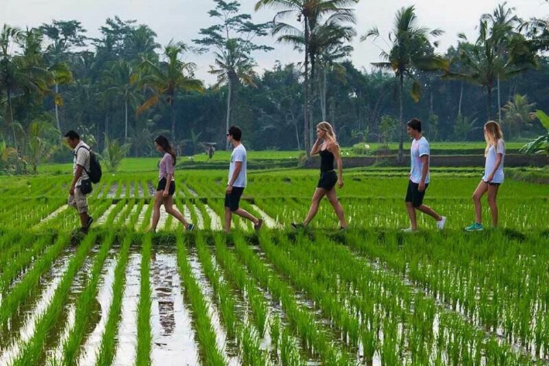 From Ubud: 3-Hour Tropical Trek and Taro Village Tour - Location and Duration