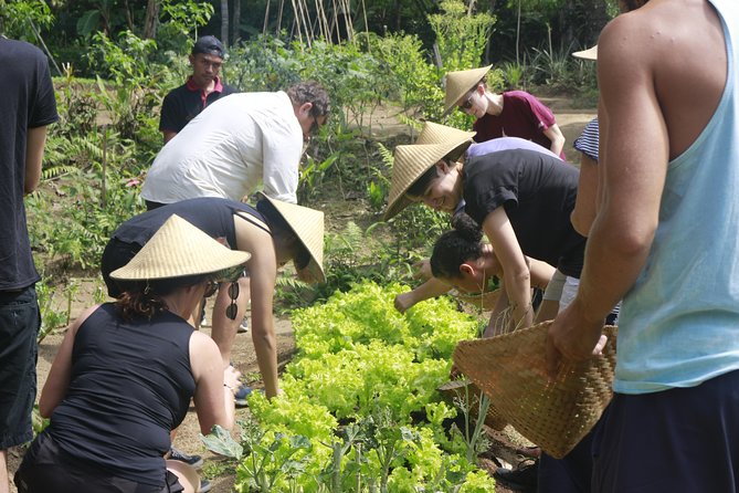 From Ubud: Authentic Bali Farm Cooking School & Organic Farm - Transportation Details