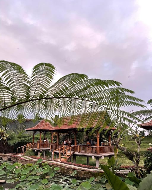 From Ubud: Dinner With Fireflies View - Reservation and Cancellation
