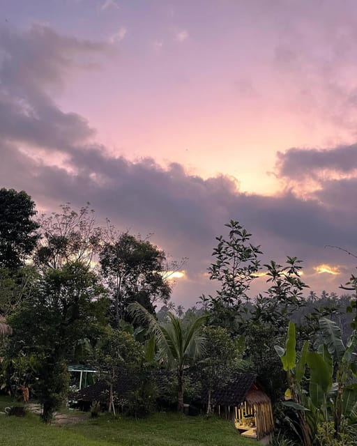 From Ubud: Dinner With Fireflies View - About Taro Village