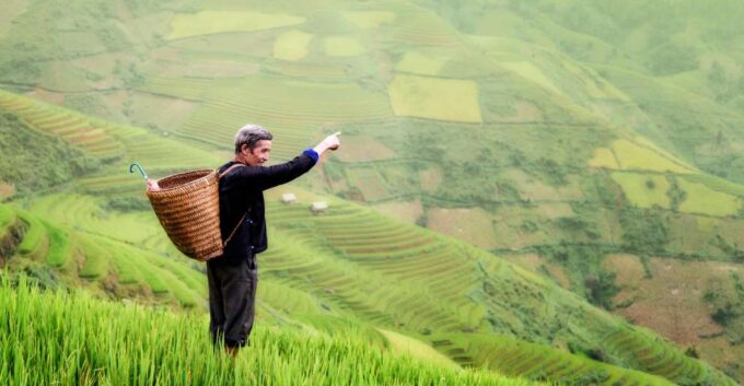 From Ubud: Evening Firefly Tour in Taro Village - Balinese Organic Farm Experience