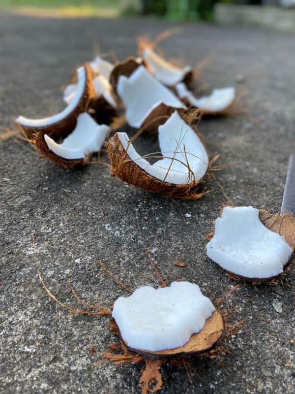 From Ubud: Traditional Bali Coconut Oil Class - FAQ