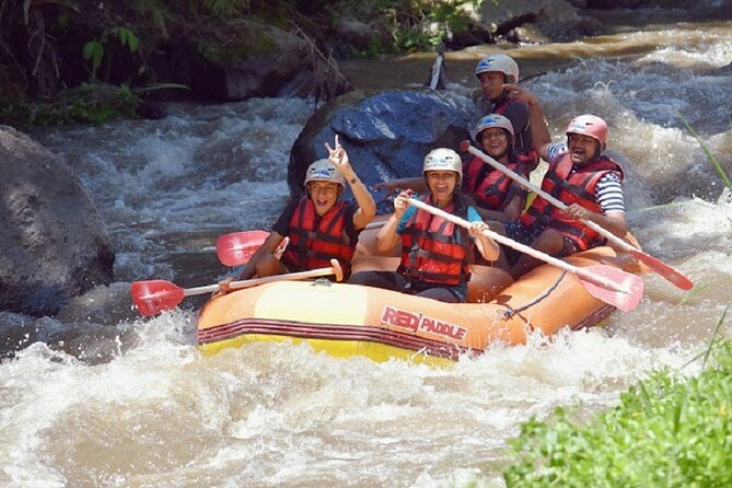 From Ubud: White Water Rafting Review - Key Points