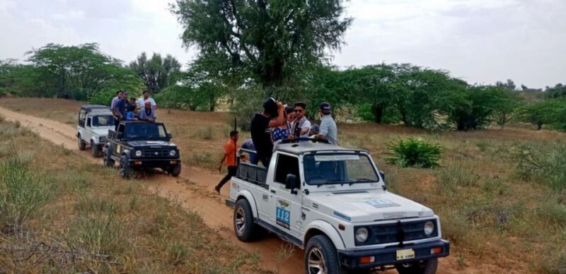 From Udaipur : Private Transfer To Ranthmbore - Booking Information