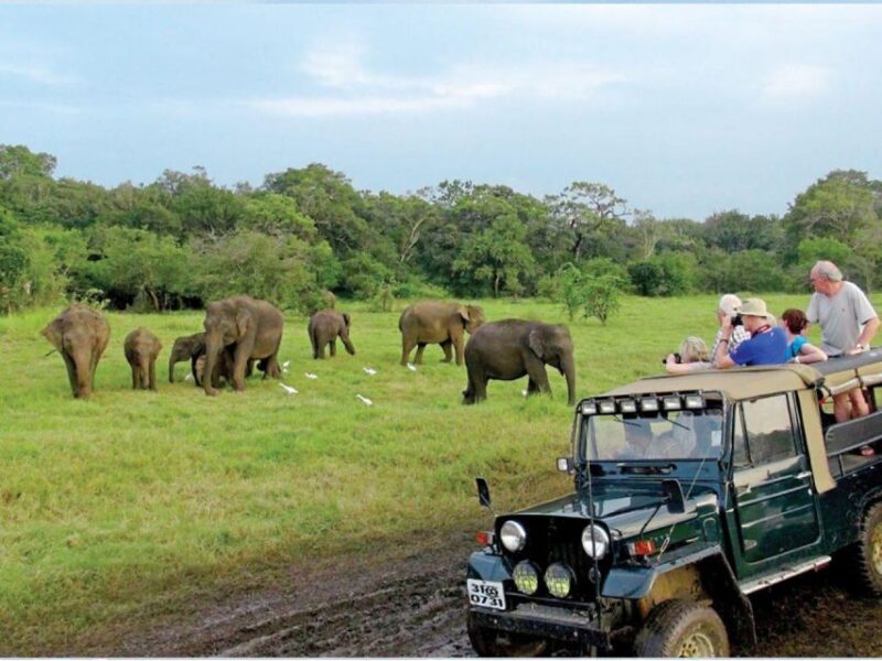 From Udawalawe: Safari at Udawalawe National Park - Key Points