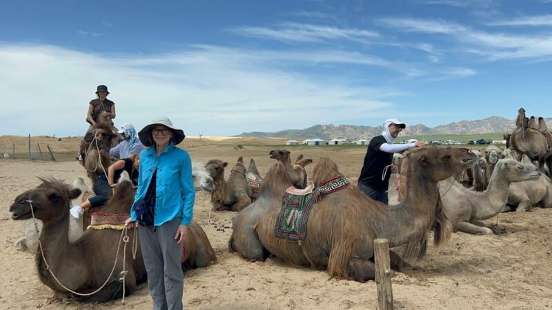 From Ulaanbaatar: Central Mongolia Guided 3-Day Tour - Final Words