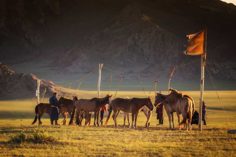 From Ulaanbaatar: Day Trip to Hustai National Park - Wildlife and Nature Experience