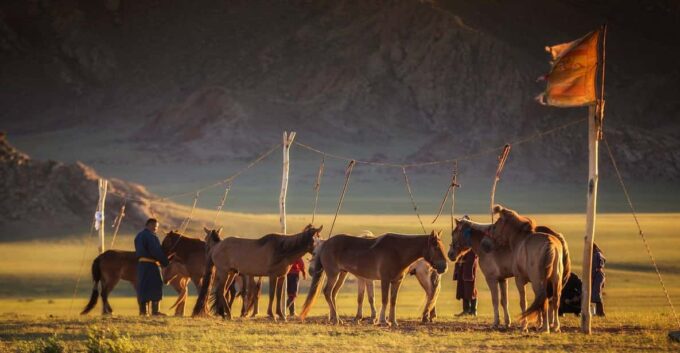 From Ulaanbaatar: Day Trip to Hustai National Park - Inclusions and Exclusions