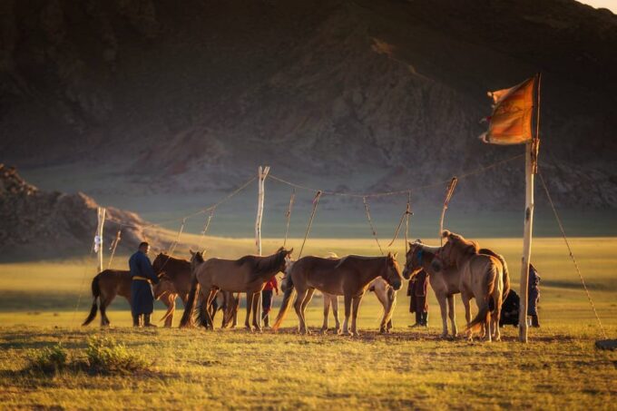 From Ulaanbaatar: Day Trip to Hustai National Park - How to Book and Reserve