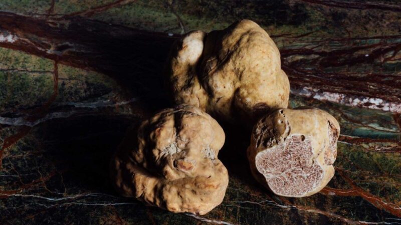 From Urbino: Montefeltro Tour With Truffle Lunch - Stunning Natural Landscapes