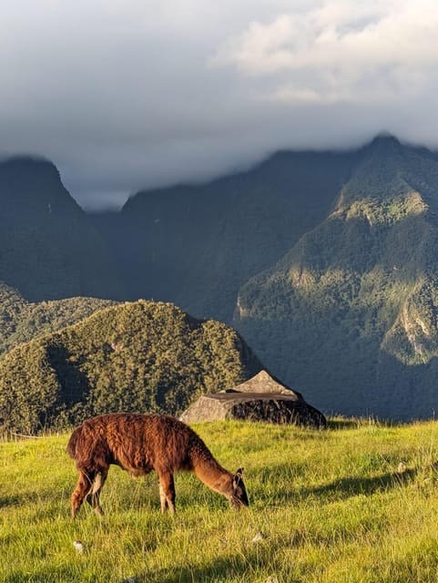 From Urubamba & Ollantaytambo: MachuPicchu Full Day| PRIVATE - Key Points