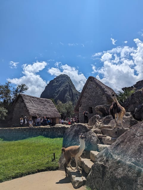 From Urubamba & Ollantaytambo: MachuPicchu Full Day| PRIVATE - Frequently Asked Questions