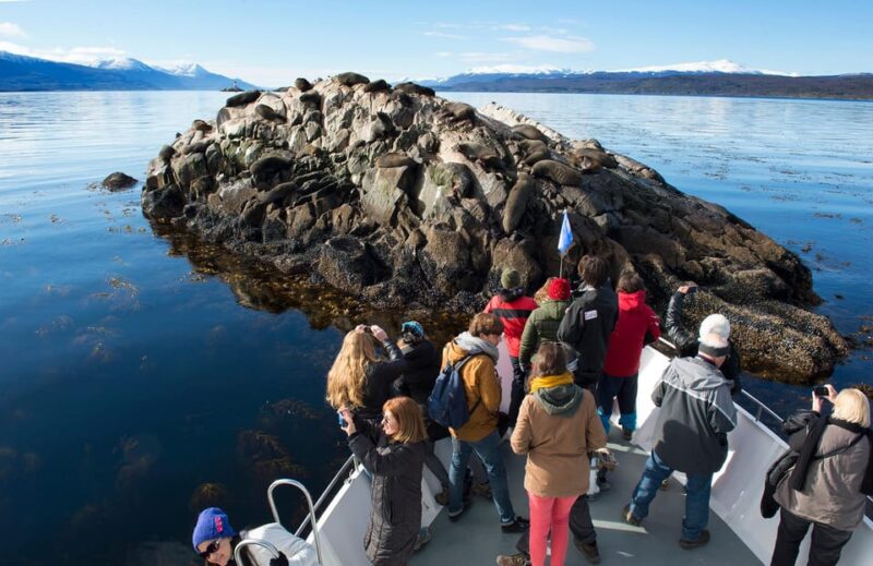 From Ushuaia: Beagle Channel Yacht Sailing Tour - Key Points