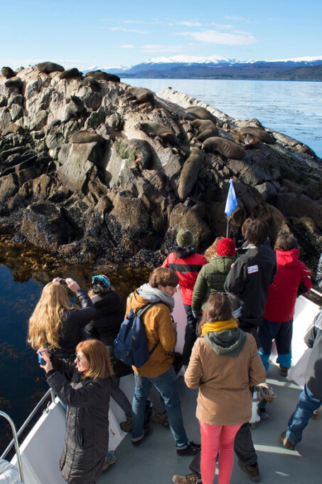 From Ushuaia: Beagle Channel Yacht Sailing Tour - Customer Ratings and Feedback
