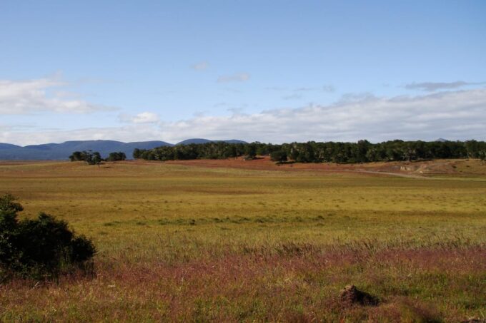 From Ushuaia: Tolhuin and Cape San Pablo Private Tour - Frequently Asked Questions