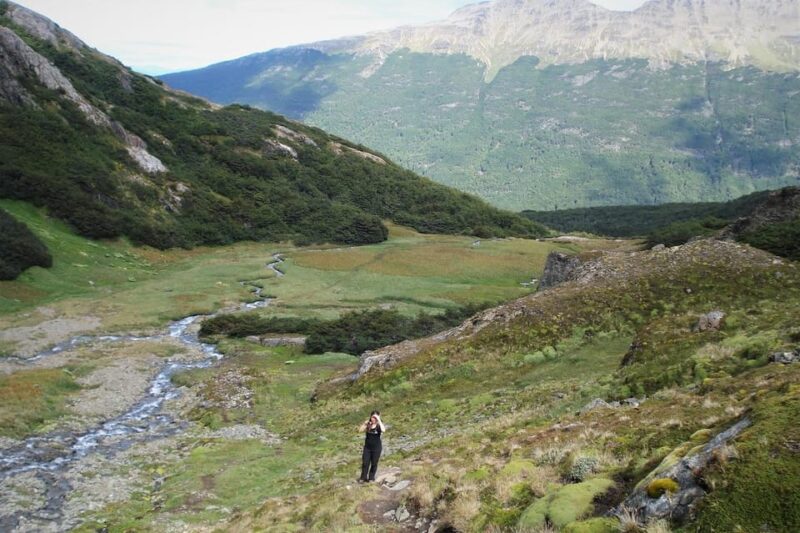 From Ushuaia: Vinciguerra Glacier Small Group Trek - Itinerary Details