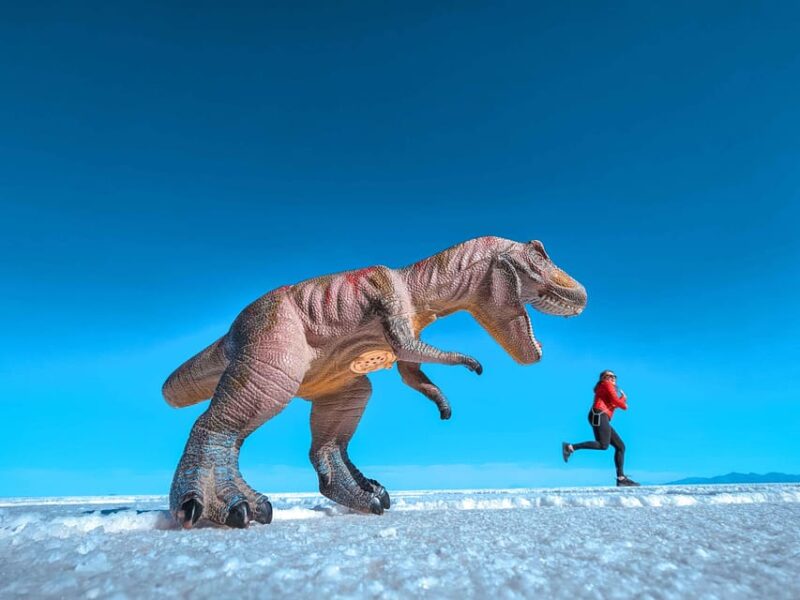 From Uyuni: 1-Day Uyuni Salt Flats + English Speaking Guide - Inclusions