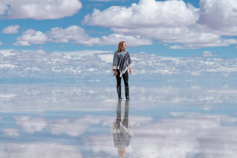 From Uyuni: Geyser and Uyuni Salt Flats 3-Days | Flamingos | - Customer Feedback