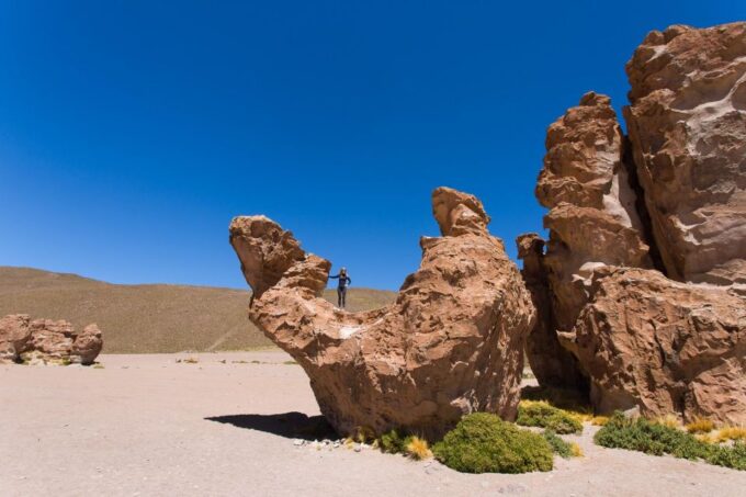 From Uyuni: Geyser and Uyuni Salt Flats 3-Days | Flamingos | - Booking and Payment