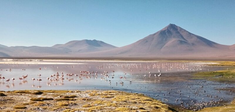 From Uyuni: Private Day Trip Laguna Colorada. - Key Points