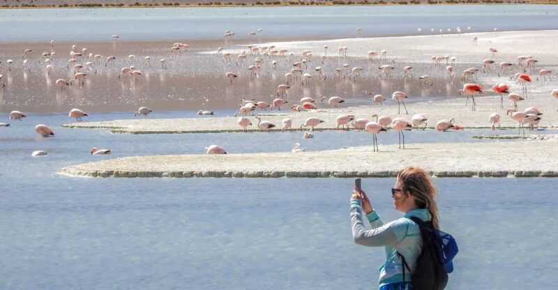 From Uyuni: Red Lagoon & Uyuni Salt Flats 3-Day Guided Tour - Key Points