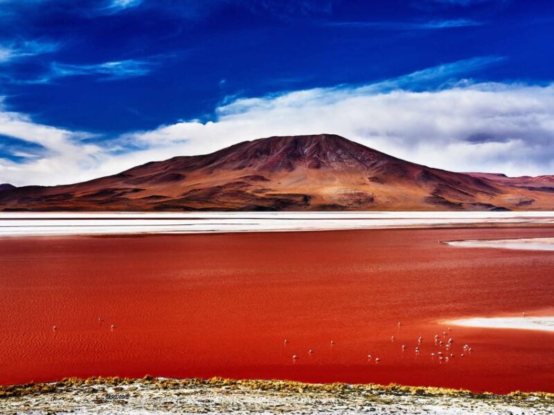 From Uyuni: Salt Flats Highlights Jeep Tour With Lunch - Departure and Return Details