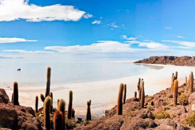 From Uyuni | Tour Uyuni Salt Flat & Train Cemetery Full Day - Transportation and Accessibility