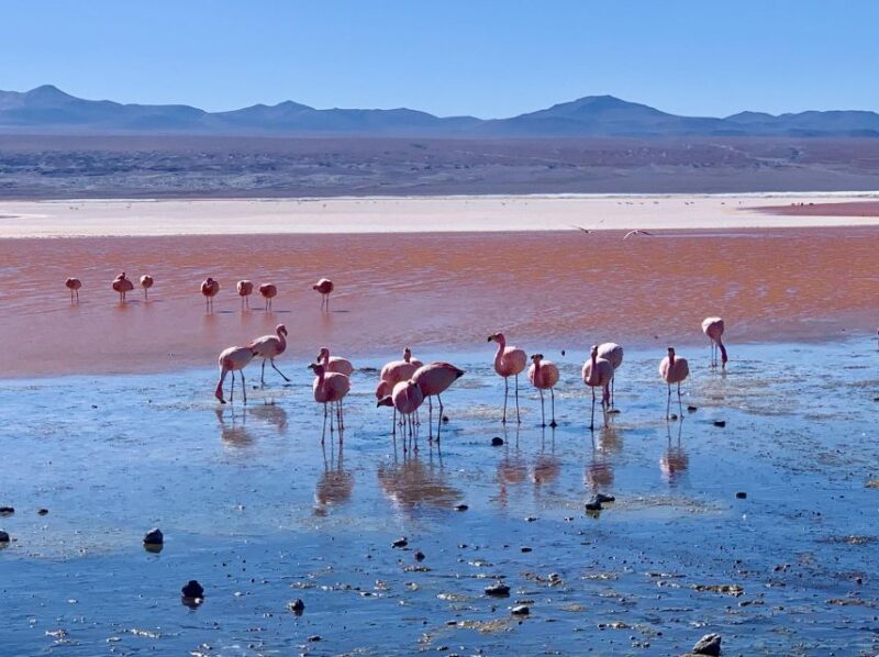 From Uyuni: Uyuni Salt Flat 3 Days - Itinerary Highlights