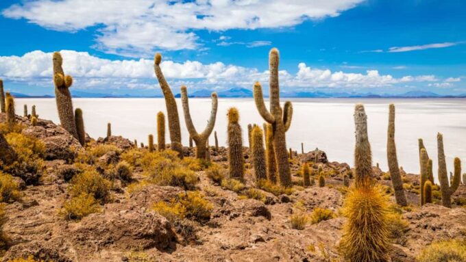 From Uyuni: Uyuni Salt Flat Private Full Day All Inclusive - Sunset Experience